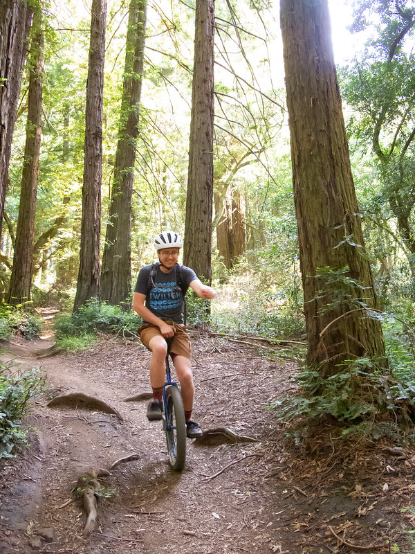 A mountain unicyclist smiles as he rides down a rooty hill through a sunlit redwood grove