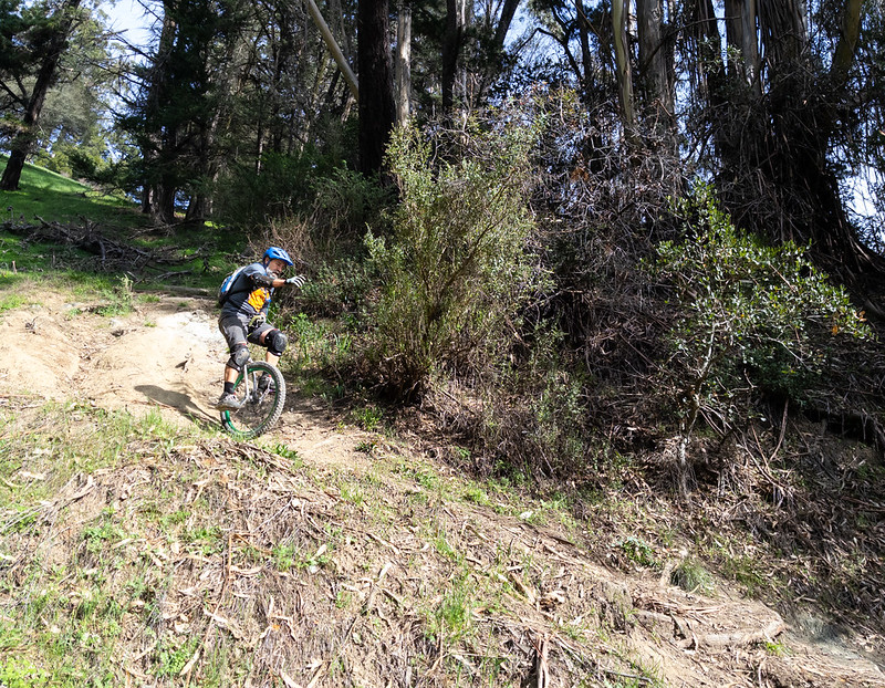 A mountain unicyclist rides down a very steep trail covered in eucalyptus fronds and roots. It is a sunny day, and the trail has just come out of the shaded forest into the sun. He holds his arm out for balance.