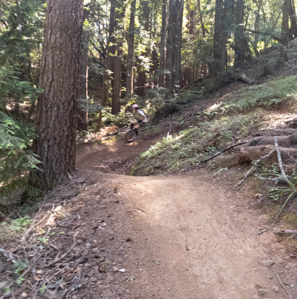 A mountain unicyclist rides through a redwood forest on a course with a tall berm. The unicyclist is speed-blurred as he rides high on the berm.