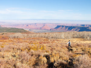 A mountain unicyclist rides through an autumnal alpine landscape, with mostly bare aspens to the right, as the trail goes to the left towards a red rock desert with dramatic canyons and towers.