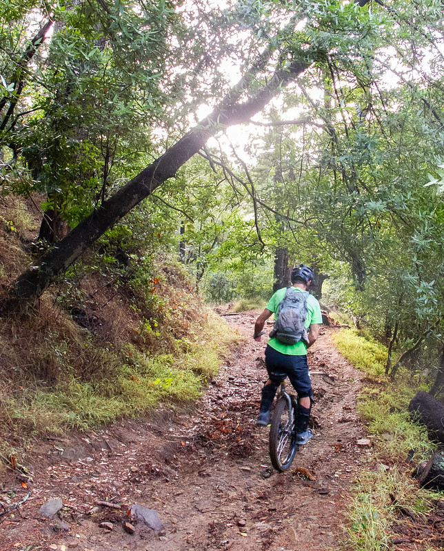 A mountain unicyclist rides away from the camera down a rocky trail covered with leaves and sticks.